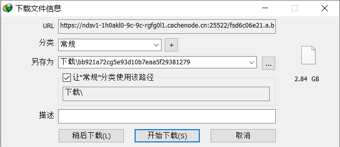 IDM下载为啥检测不出文件类型