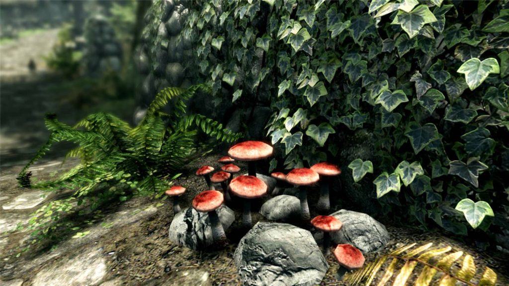 上古卷轴5：周年纪念版/上古卷轴5：天际10周年重制版/The Elder Scrolls V: Skyrim Special Edition克隆窝10