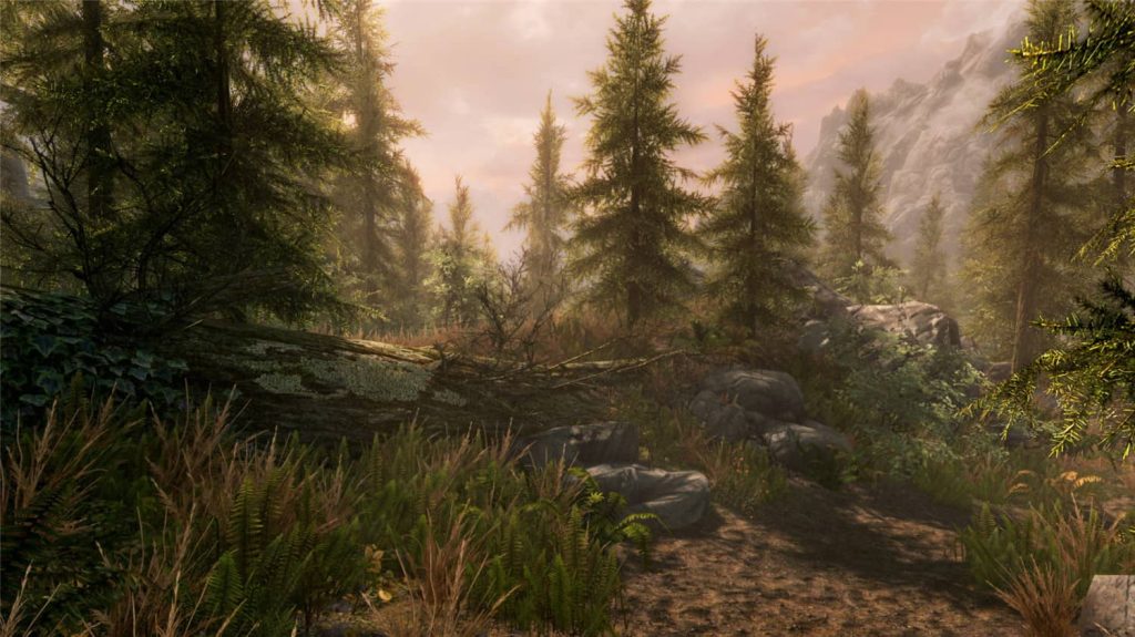 上古卷轴5：周年纪念版/上古卷轴5：天际10周年重制版/The Elder Scrolls V: Skyrim Special Edition克隆窝12