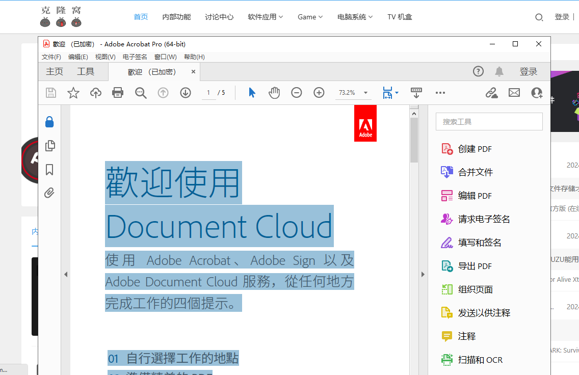 Adobe Acrobat PRO DC v2024.002.20759 解锁版 (PDF编辑器)